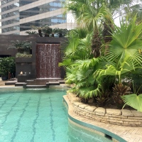 Plateau Spa's Rose Indulgence package – spa day at Grand Hyatt Hong Kong